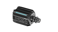R21